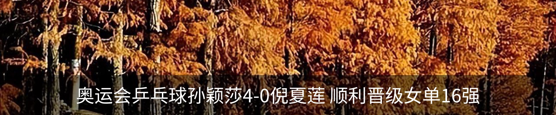 行业资讯
