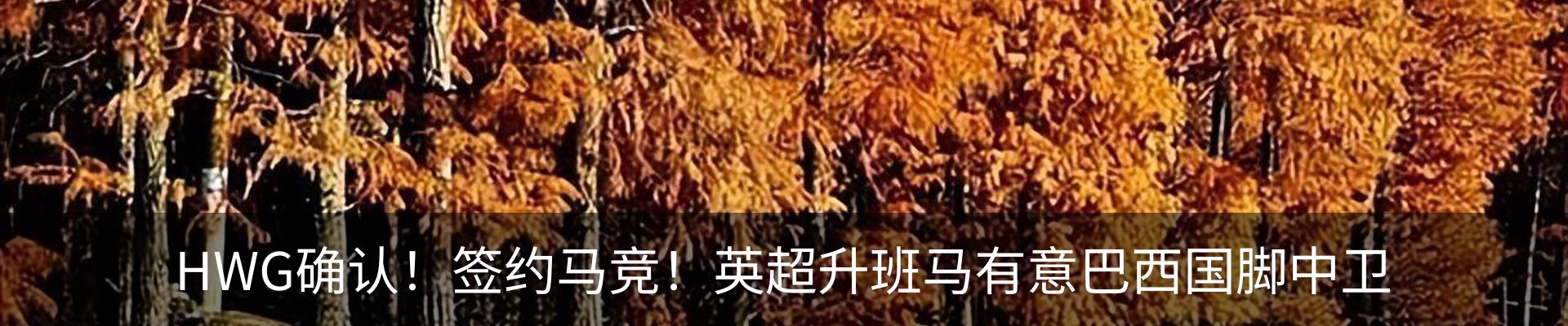 行业资讯